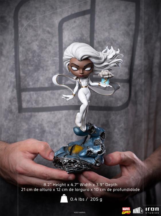 X-Men MiniCo Storm