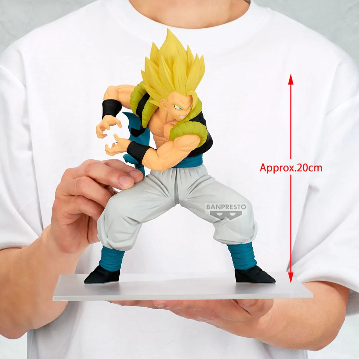 Dragon Ball: Gogeta Super Saiyan - Grandista