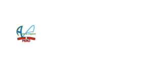 Anime Import Peru