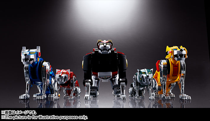 Soul of ChogokinGX-71 Beast King GoLion

(Voltron)